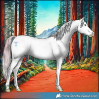 Horse Color:Watercolor Gold Champagne Ice Onyx Tobiano Near Leopard 