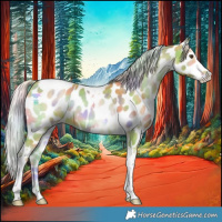 Horse Color:Nacre Watercolor Silver Sable Champagne Onyx Sabino Tobiano Near Leopard 