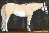 Horse Color:Smoky Black Pearl Splash