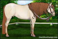 Horse Color:Buckskin Pearl Dun 