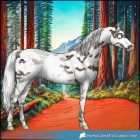 Horse Color:White Spotted Liver Chestnut Mushroom Sabino Splash 