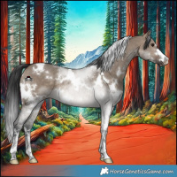 Horse Color:White Spotted Brown Dun 