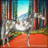 Horse Color:White Spotted Liver Red Dun Mushroom Brindle 