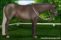Horse Color:Silver Brown Mushroom 