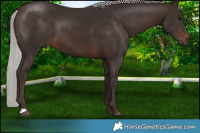Horse Color:Silver Brown Mushroom 
