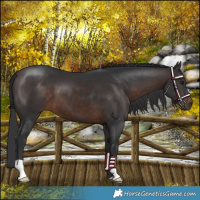 Horse Color:Brown Mushroom 