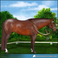Horse Color:Chocolate Brown 