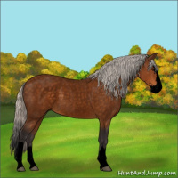 Horse Color:Void Silver Buckskin Roan Splash 