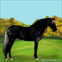 Horse Color:Void Silver Brown Splash Tobiano 