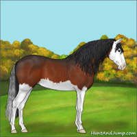 Horse Color:Brown Splash 