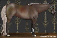 Horse Color:Silver Brown
