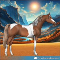Horse Color:Chestnut Tobiano