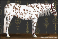Horse Color:Silver Brown Near Leopard 