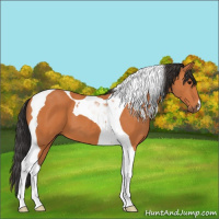 Horse Color:Bay Tobiano