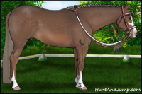Horse Color:Liver Chestnut Mushroom Sabino 