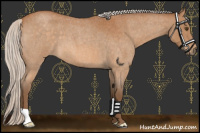 Horse Color:Silver Buckskin Roan Mushroom 
