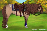 Horse Color:Chocolate Bay Roan Dun Appaloosa Rabicano