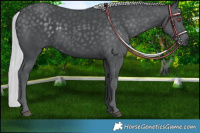 Horse Color:Platinum Silver Black Chinchilla 