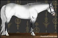 Horse Color:Platinum Silver Brown Chinchilla Sabino 
