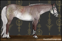 Horse Color:Chocolate Silver Brown Chinchilla Sabino