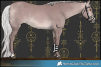Horse Color:Platinum Chocolate Silver Buckskin
