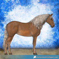 Horse Color:Chocolate Palomino 