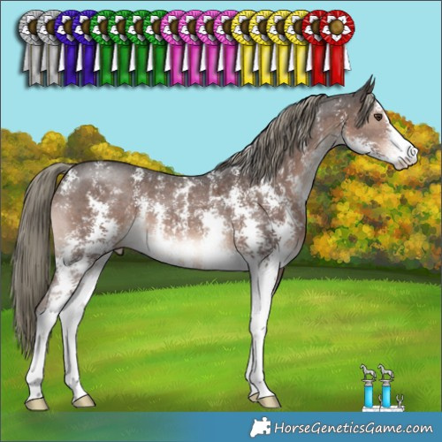 Horse Color:Liver Chestnut Mushroom Sabino 