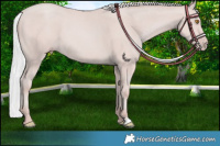 Horse Color:Platinum Silver Classic Champagne 