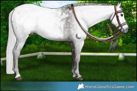 Horse Color:Gray Platinum Silver Black Appaloosa 