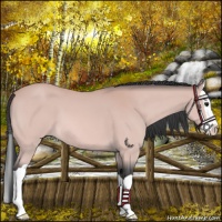 Horse Color:Platinum Bay Splash 