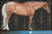 Horse Color:Chocolate Silver Bay Pearl 