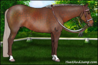 Horse Color:Chocolate Silver Brown Rabicano