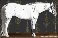 Horse Color:Liver Chestnut Sabino Snowflake Varnish
