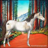 Horse Color:Gray White Spotted Buckskin Pearl Dun Sabino 