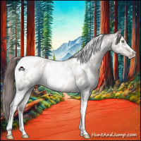 Horse Color:Platinum Liver Red Dun Pearl Sabino Tobiano Appaloosa 