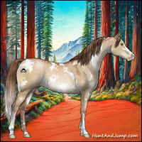 Horse Color:White Spotted Brown Pearl Dun Sabino 