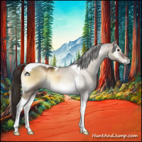 Horse Color:Liver Red Dun Onyx Tobiano 