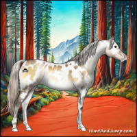 Horse Color:Gray White Spotted Silver Brown Pearl Onyx Appaloosa 