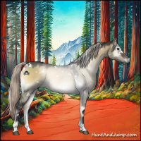 Horse Color:Gray White Spotted Silver Brown Onyx 