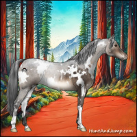 Horse Color:White Spotted Brown Dun 