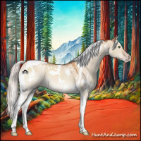 Horse Color:White Spotted Silver Sable Champagne Dun Tobiano 