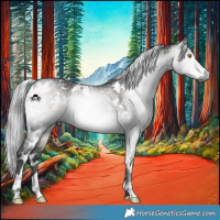 Horse Color:Gray Platinum White Spotted Silver Buckskin Dun 