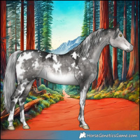 Horse Color:Gray Platinum White Spotted Silver Buckskin Dun 