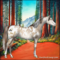 Horse Color:White Spotted Brown Pearl Dun Sabino Appaloosa 