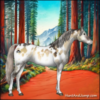 Horse Color:Gray White Spotted Silver Brown Onyx Tobiano Near Leopard 