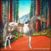 Horse Color:White Spotted Silver Brown Dun Tobiano Brindle 