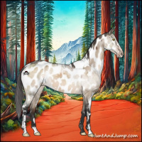 Horse Color:White Spotted Brown Dun Mushroom Sabino Appaloosa 