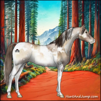 Horse Color:White Spotted Liver Red Onyx Pearl Tobiano 
