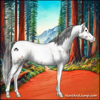 Horse Color:White Spotted Liver Red Onyx Tobiano Appaloosa 