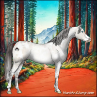 Horse Color:White Spotted Sable Champagne Dun Mushroom Sabino 